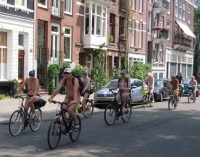 wnbr 2016 brussel