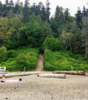 Canadas Largest Nude Beach Is In BC1 