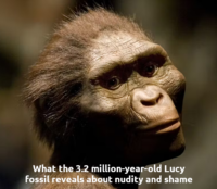What the 3_2 million-year-old Lucy fossil reveals about nudity and shame 